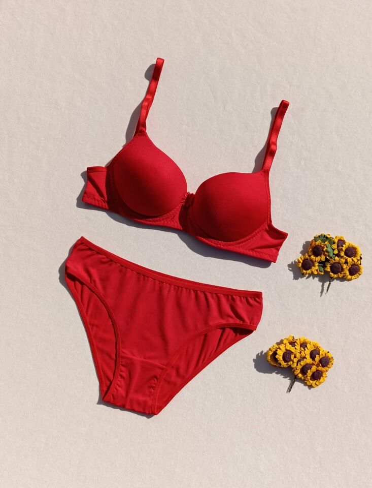 Push Up Dolgulu Micro Kımızı Sütyen Ve Külot İç Çamaşır Takımı