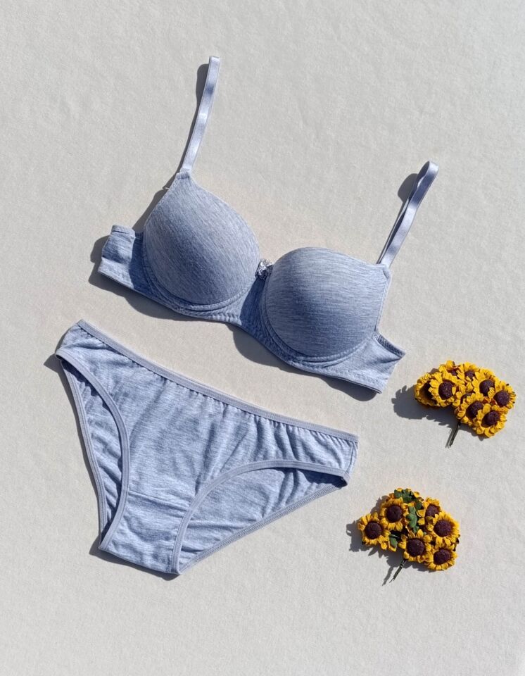 Push Up Dolgulu Micro Gri Sütyen Ve Külot İç Çamaşır Takımı