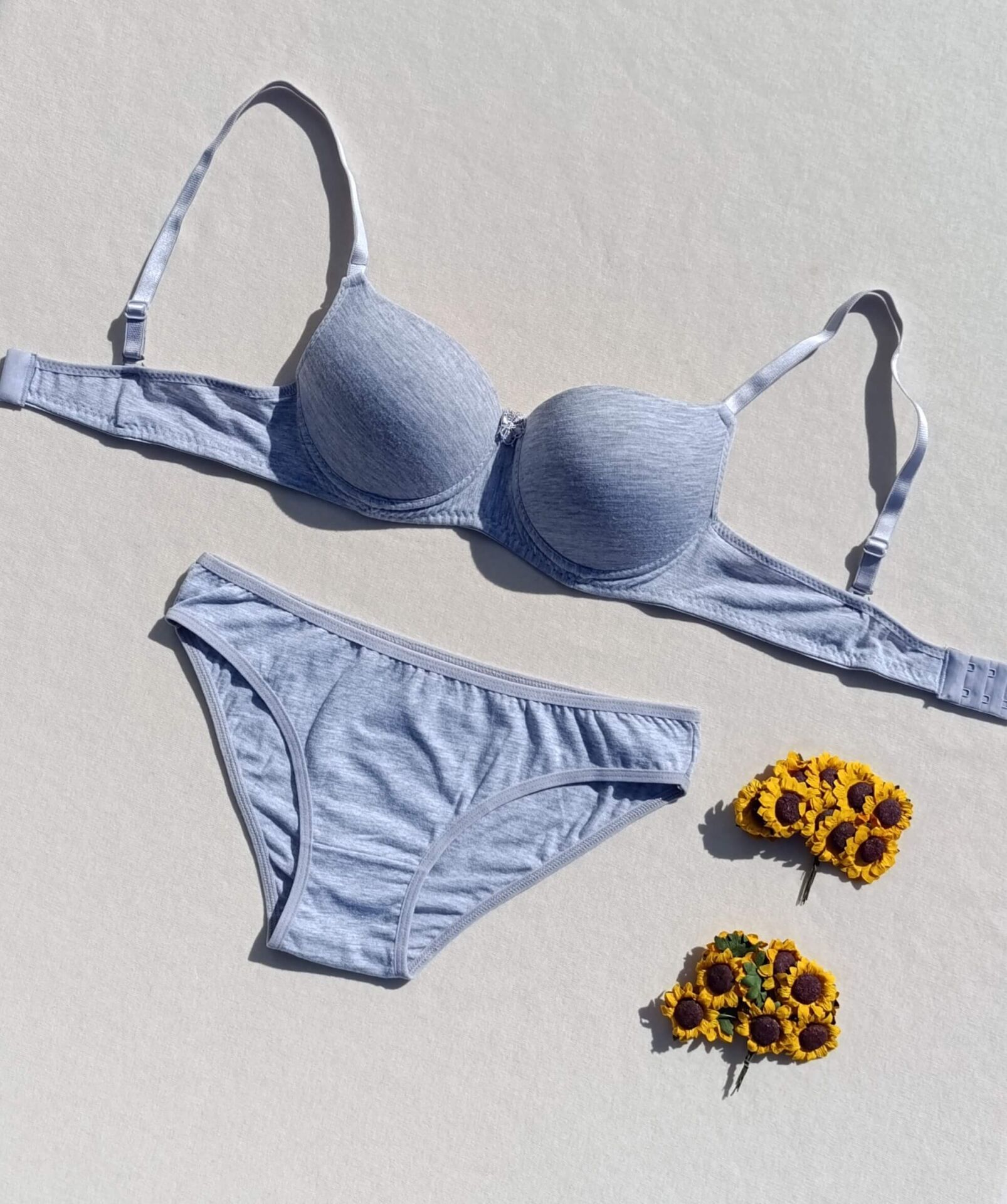 Push Up Dolgulu Micro Gri Sütyen Ve Külot İç Çamaşır Takımı