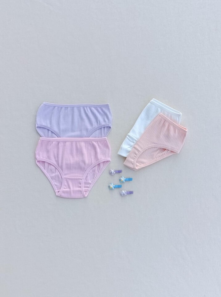 Kız Çocuk Renkli Yumuşak Dokulu Esnek Likralı 4'lü Külot Slip